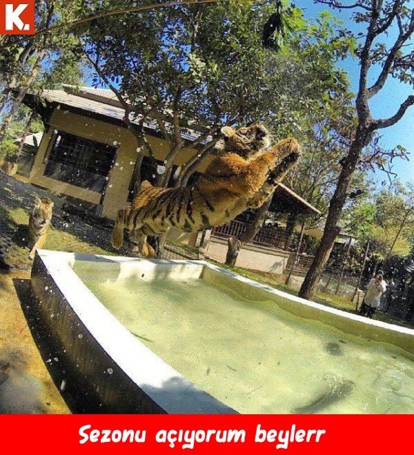 Kadraja giren komik anlar 29