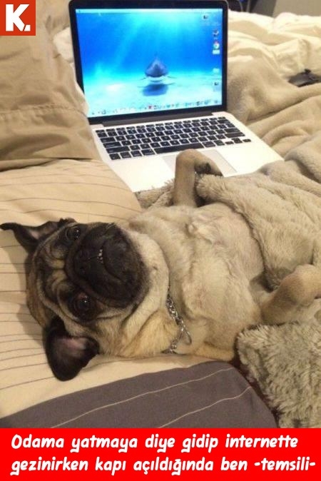 Kadraja giren komik anlar 1