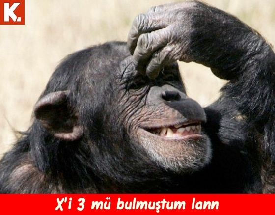 Kadraja giren komik anlar 8