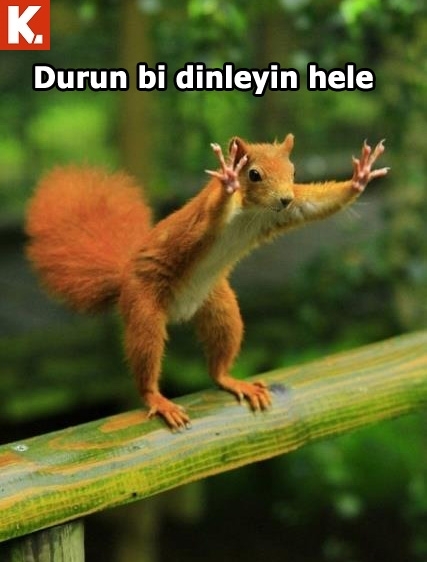 Pazartesi sendromuna iyi gelecek capsler 3