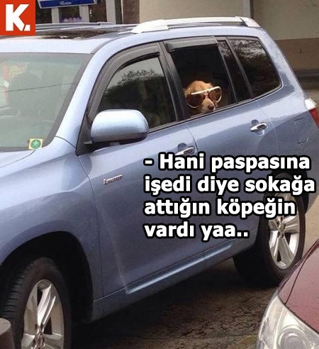 Pazartesi sendromuna iyi gelecek capsler 9