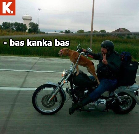 Pazartesi sendromuna iyi gelecek capsler 10