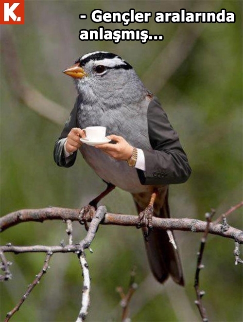 Pazartesi sendromuna iyi gelecek capsler 13