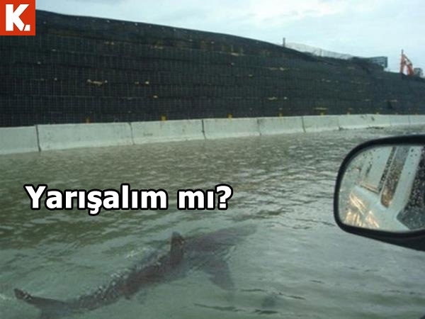 Pazartesi sendromuna iyi gelecek capsler 16