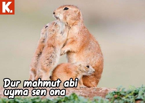 Pazartesi sendromuna iyi gelecek capsler 18