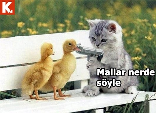 Pazartesi sendromuna iyi gelecek capsler 27