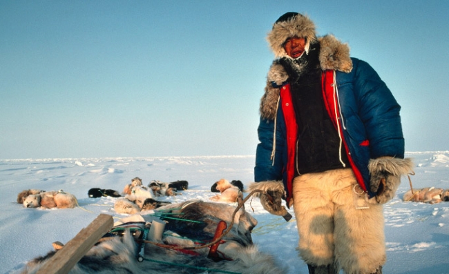 Kuzey Kutbuna bir yolculuk... 4