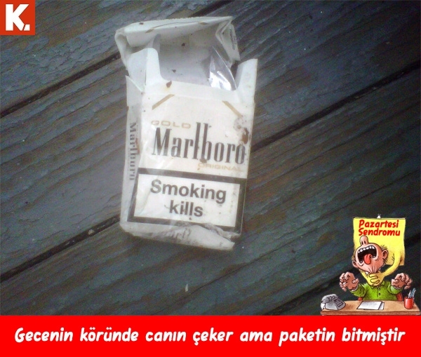 Kim korkar pazartesi sendromundan! 18