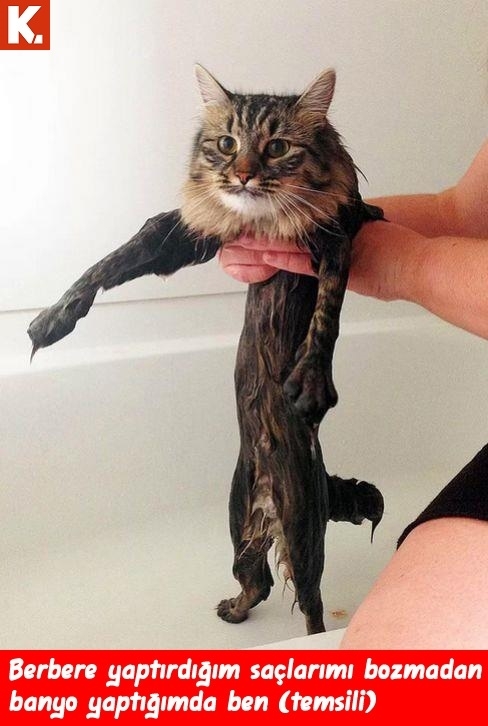 Ünlülerin en çok güldüren capsleri 24