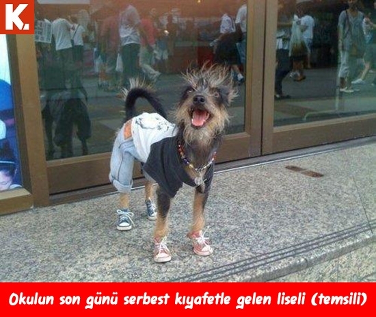 Ünlülerin en çok güldüren capsleri 26