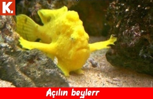 Ünlülerin en çok güldüren capsleri 27