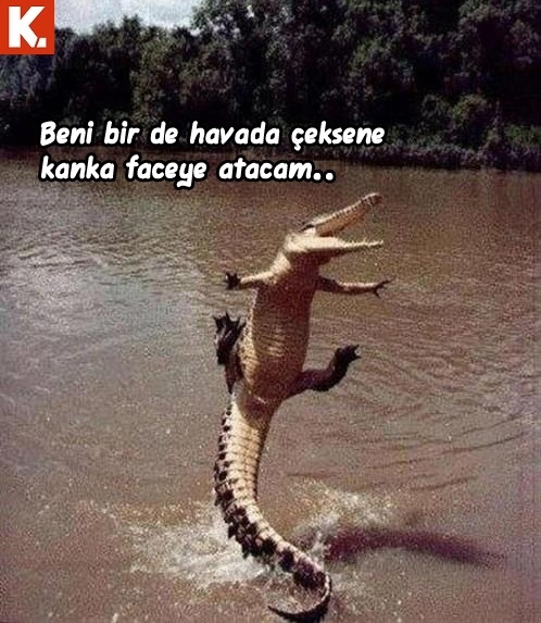 Ünlülerin en çok güldüren capsleri 29