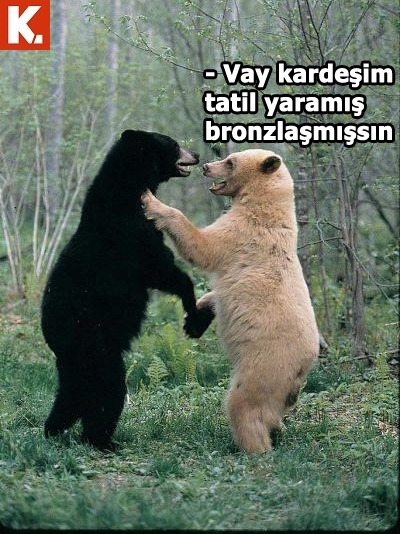 Ünlülerin en çok güldüren capsleri 33