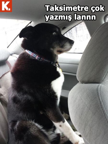 Ünlülerin en çok güldüren capsleri 35