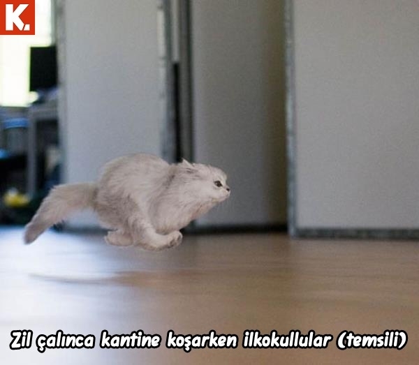 Ünlülerin en çok güldüren capsleri 38