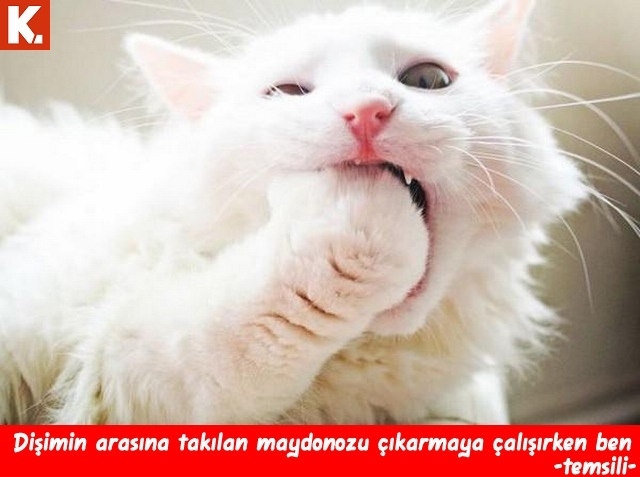 Ünlülerin en çok güldüren capsleri 23