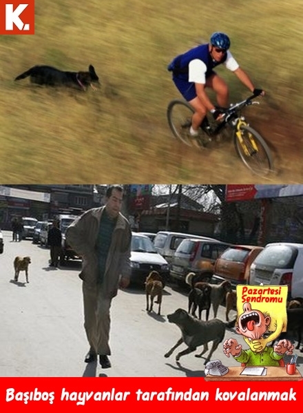 Pazartesi sendromuna birebir caps'ler 32