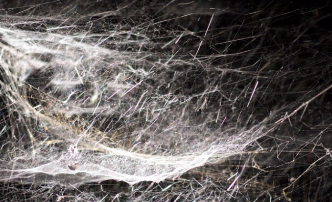 Tomás Saraceno'nun "Ağ Dünya"sına hoş geldiniz. 10