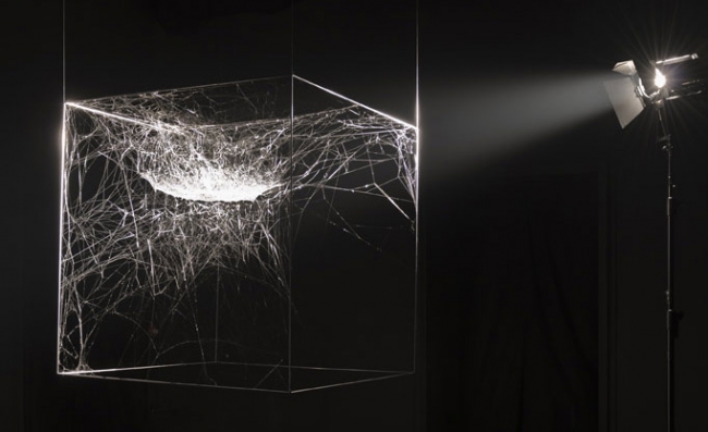 Tomás Saraceno'nun "Ağ Dünya"sına hoş geldiniz. 9