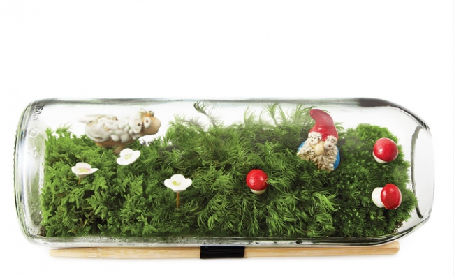 Evdeki küçük sihirli bahçeler: Terrariumlar 1