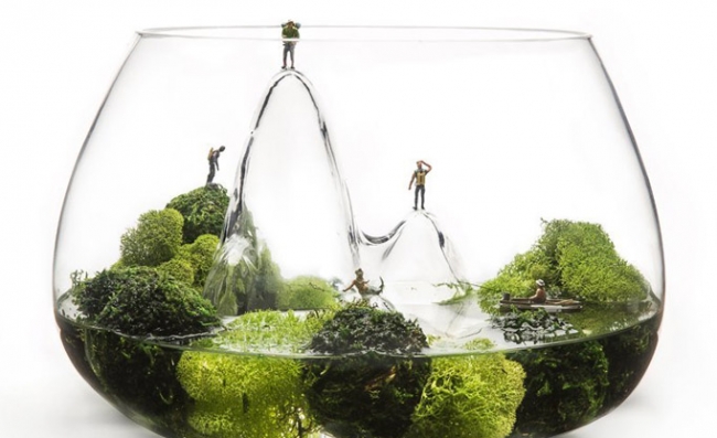 Evdeki küçük sihirli bahçeler: Terrariumlar 12