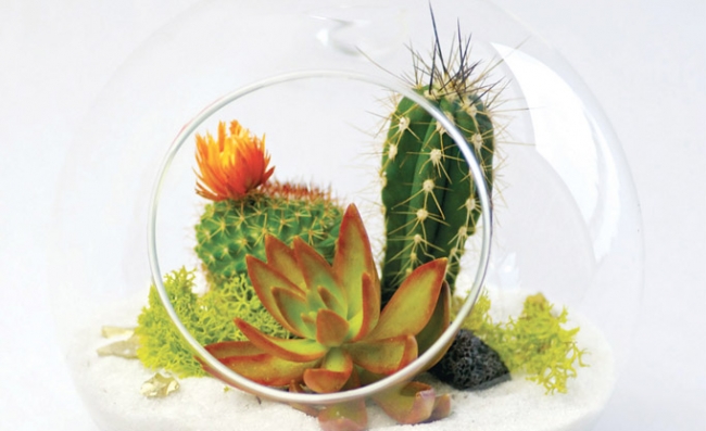 Evdeki küçük sihirli bahçeler: Terrariumlar 14