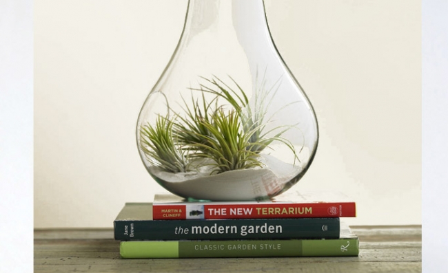 Evdeki küçük sihirli bahçeler: Terrariumlar 15