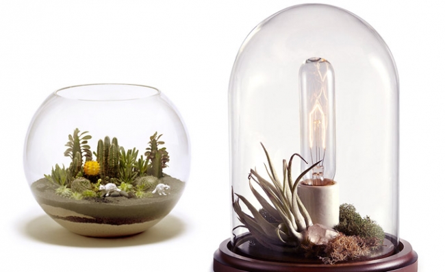 Evdeki küçük sihirli bahçeler: Terrariumlar 16