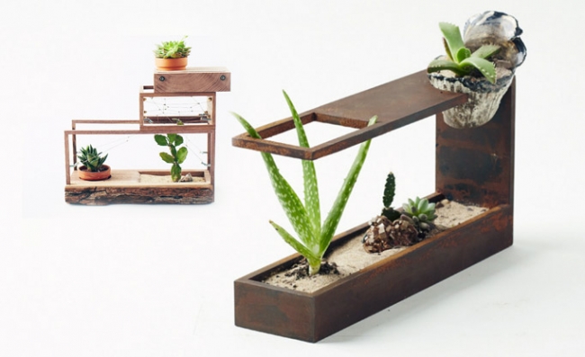 Evdeki küçük sihirli bahçeler: Terrariumlar 17