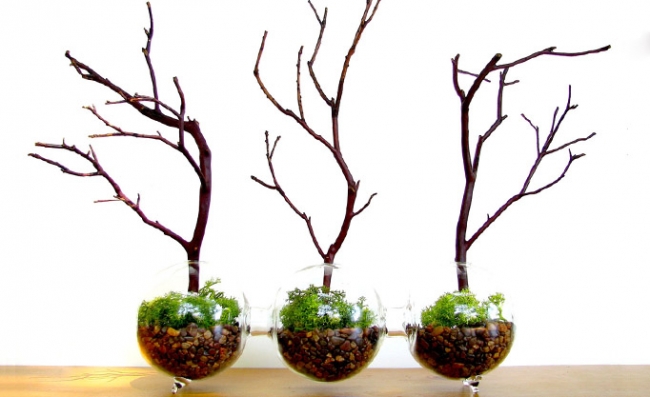 Evdeki küçük sihirli bahçeler: Terrariumlar 2