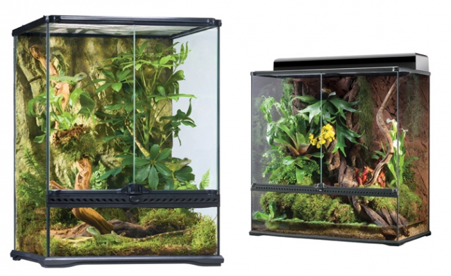 Evdeki küçük sihirli bahçeler: Terrariumlar 20