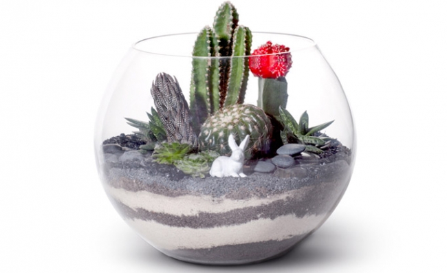 Evdeki küçük sihirli bahçeler: Terrariumlar 5