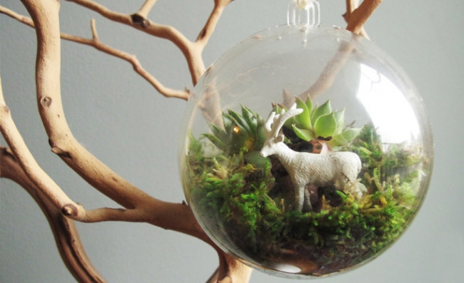 Evdeki küçük sihirli bahçeler: Terrariumlar 7