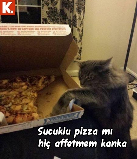 Hayvanlar dile geldi 29