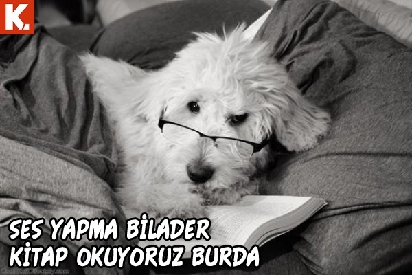 Hayvanlar dile geldi 30