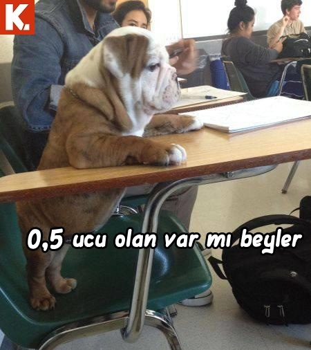 Hayvanlar dile geldi 2