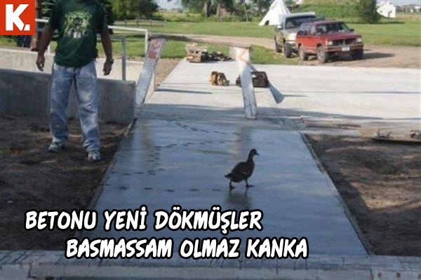 Hayvanlar dile geldi 3