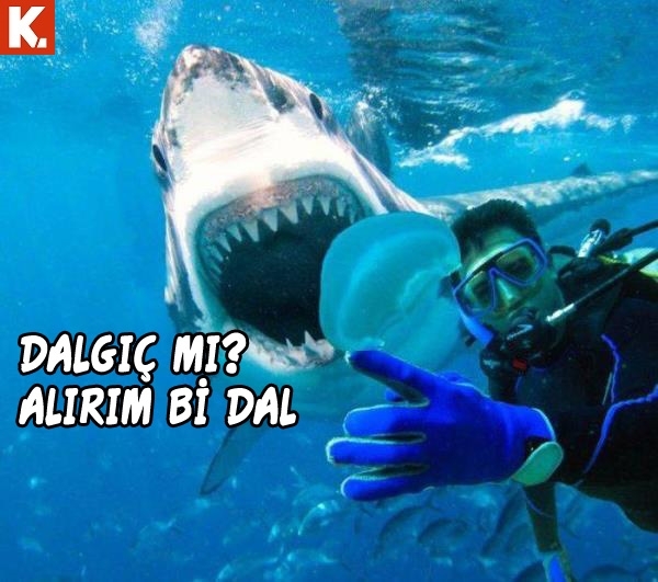 Hayvanlar dile geldi 17