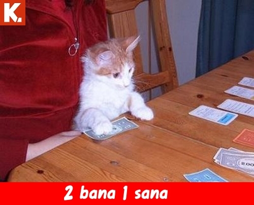 Hayvanlar dile geldi 4