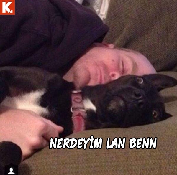 Hayvanlar dile geldi 18