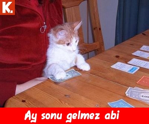 Hayvanlar dile geldi 23