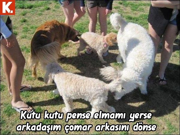 Hayvanlar dile geldi 24