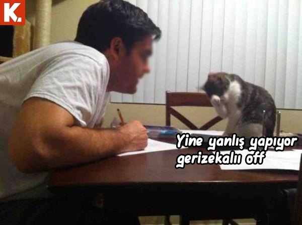 Hayvanlar dile geldi 25