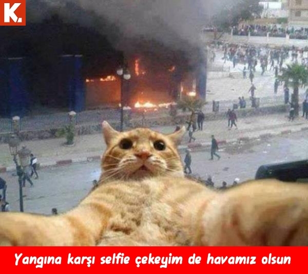 Hayvanlar dile geldi 26