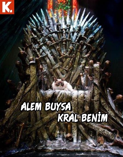 Hayvanlar dile geldi 5