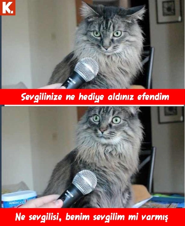 Hayvanlar dile geldi 28