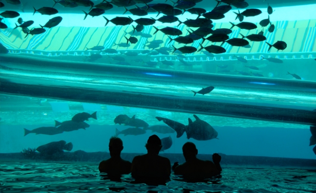 İçinden çıkamayacağınız havuzlar 13