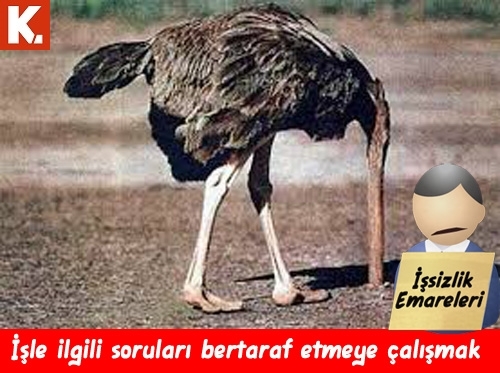 İşsizlere capsler 16