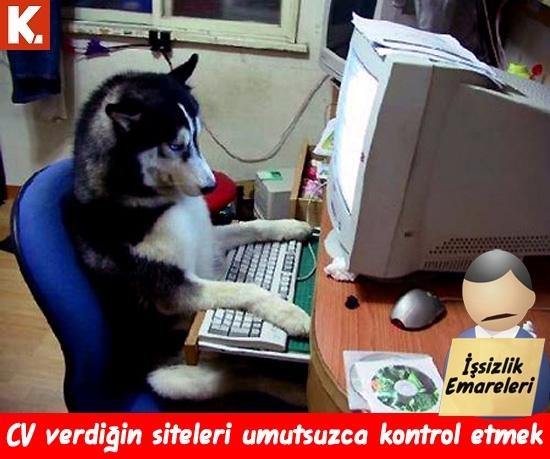 İşsizlere capsler 4