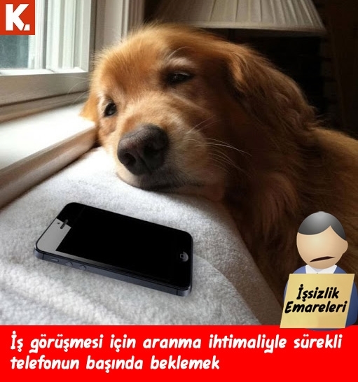 İşsizlere capsler 8